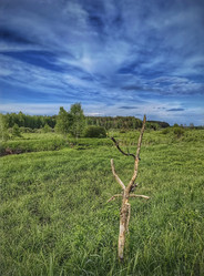 Similar image 22080790