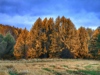 Similar image 22080796