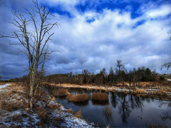 Similar image 22080801