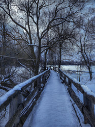 Similar image 22080802