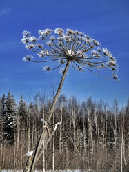 Similar image 22080803