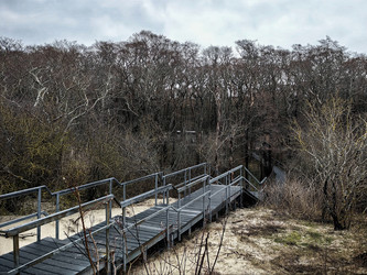 Similar image 22080805