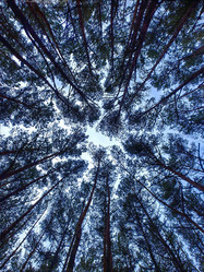 Similar image 22080809