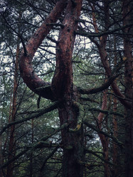 Similar image 22080810