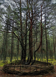 Similar image 22080812