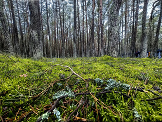 Similar image 22080813