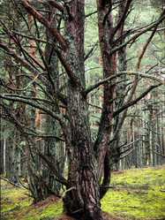 Similar image 22080814