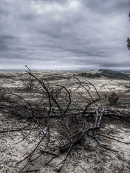 Similar image 22080819