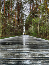 Similar image 22080820