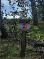 Similar image 22080821