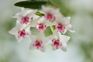 Similar image 22087769