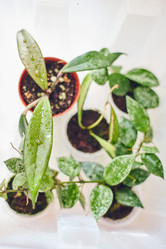 Similar image 22087770