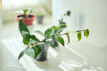 Similar image 22087771