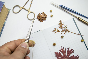 Similar image 22081481