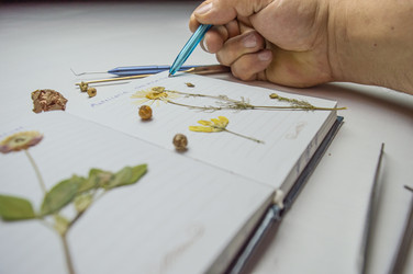 Similar image 22081482