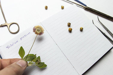 Similar image 22081483