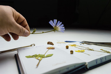 Similar image 22081484