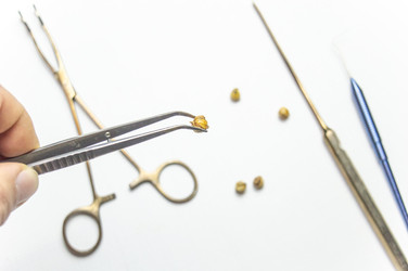 Similar image 22081486