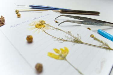 Similar image 22081511