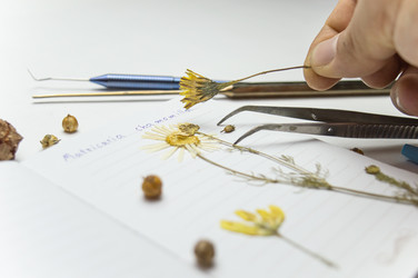 Similar image 22081512