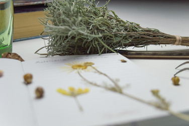 Similar image 22081531