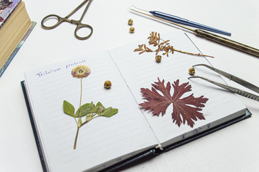 Similar image 22081532