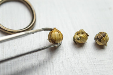 Similar image 22081533