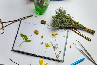 Similar image 22081534