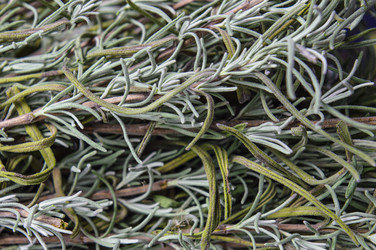 Similar image 22081277