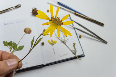 Similar image 22081279