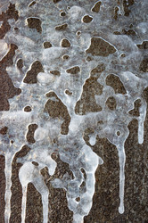 Similar image 22081313