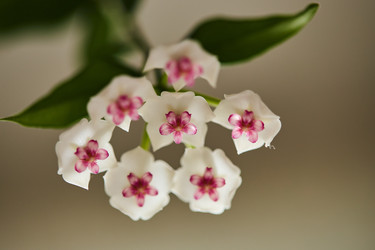 Similar image 22087795