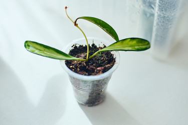 Similar image 22087796