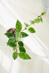 Similar image 22087797