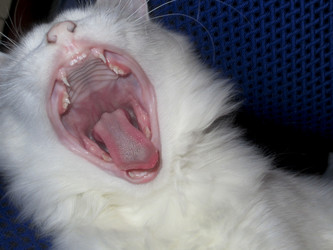 Similar image 22071489