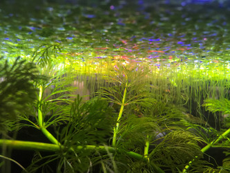 Similar image 22060040