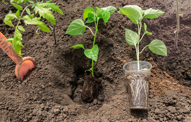 Similar image 22061708