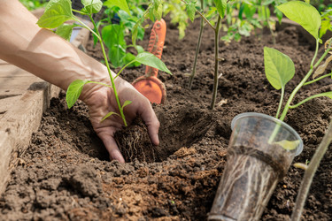 Similar image 22061709