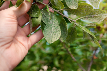 Similar image 22061710