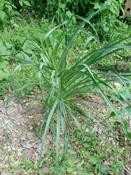 Similar image 22066844