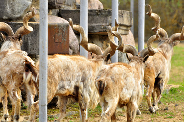 Similar image 22062065