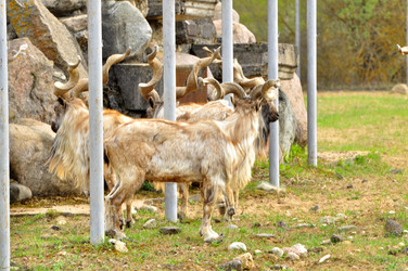 Similar image 22062066