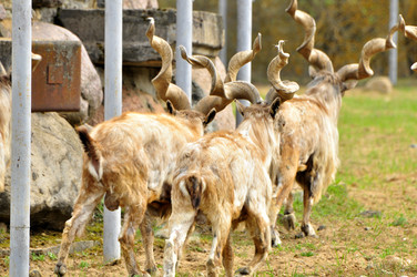 Similar image 22062067