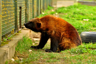 Similar image 22062068