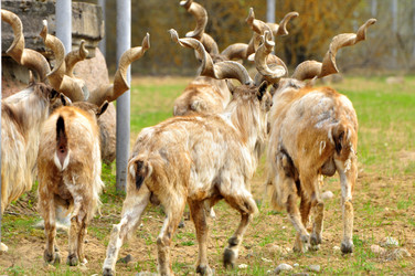 Similar image 22062069