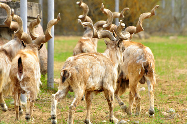 Similar image 22062070