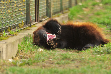 Similar image 22072231