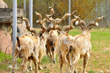 Similar image 22072232