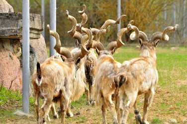 Similar image 22072234