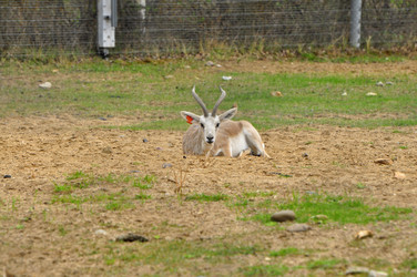 Similar image 22072235